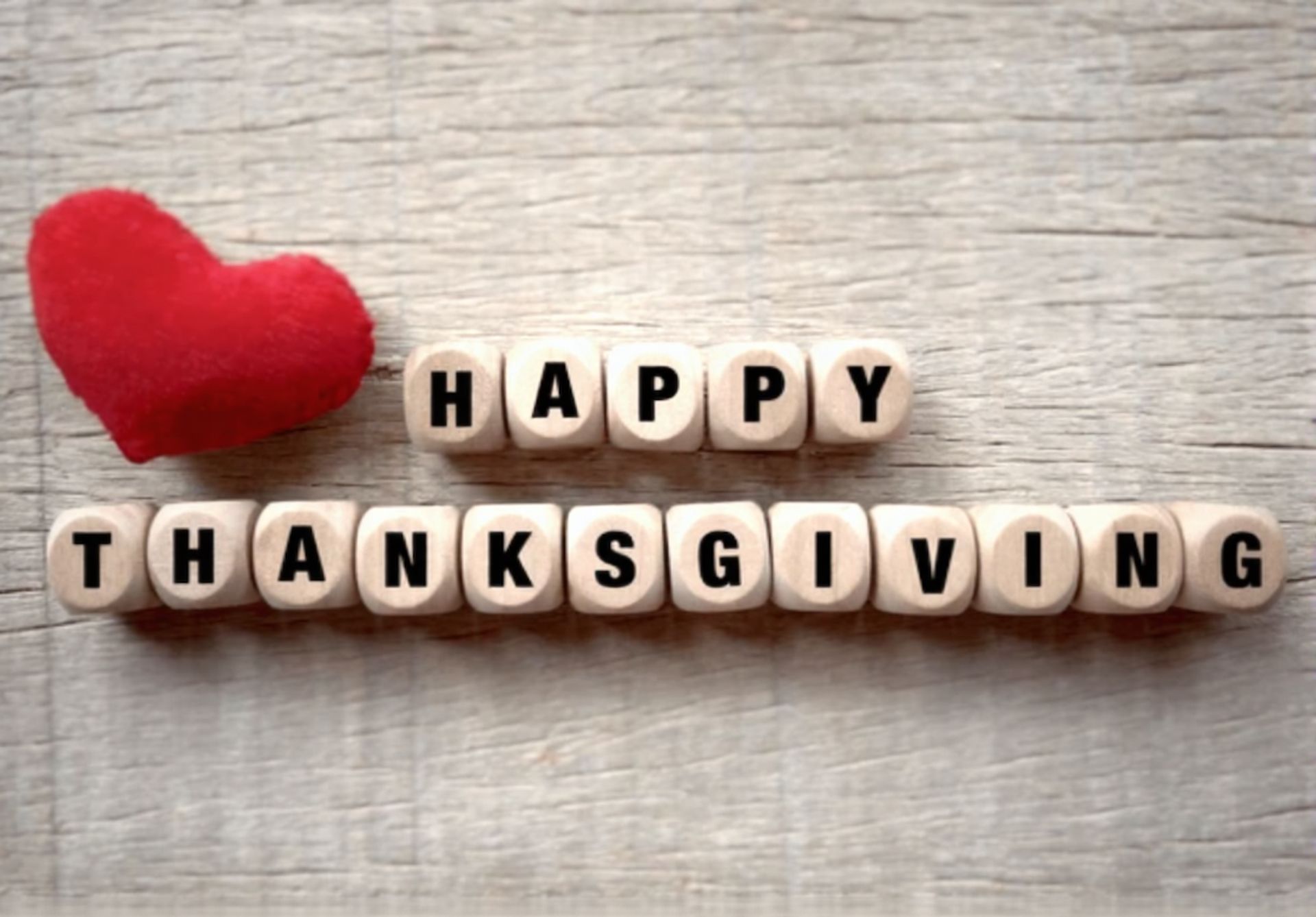 iCare Foundation Thanksgiving turkey drive feeding families in Tampa Bay